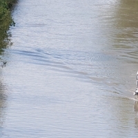 Photo de France - Le Canal du Midi et le tunnel du Malpas